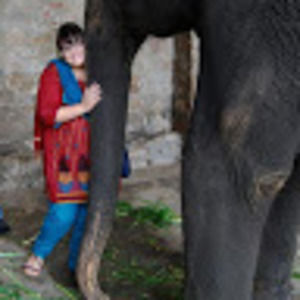 Meet your Posher, Kara